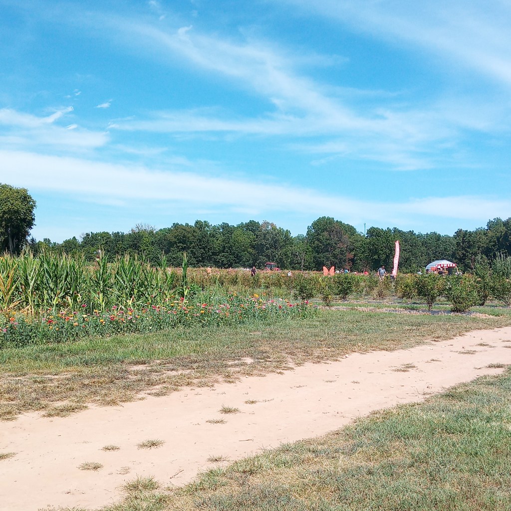 Where Does Your Worth Come&nbsp;From?