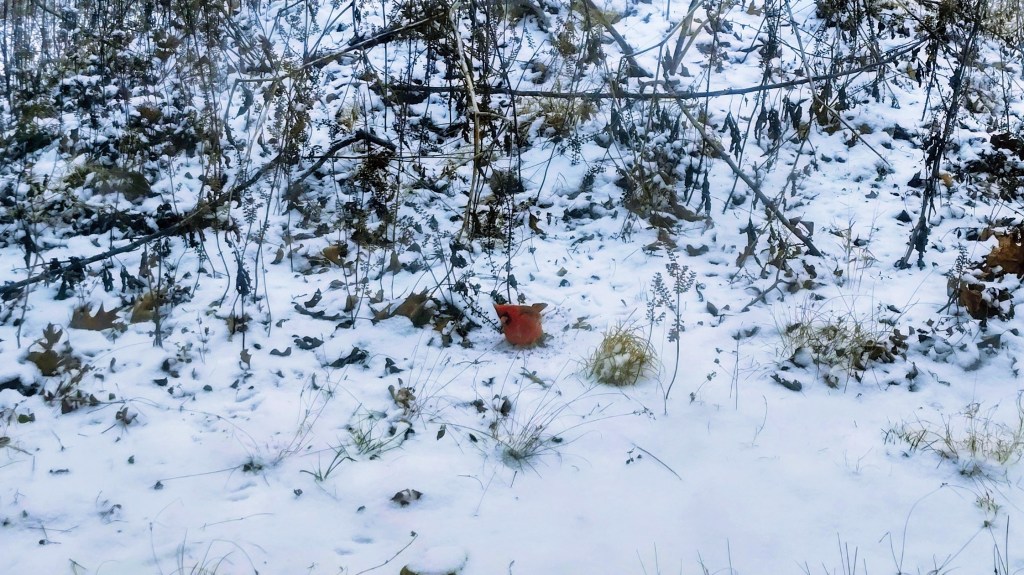 God’s Will is Enough to Sustain&nbsp;You