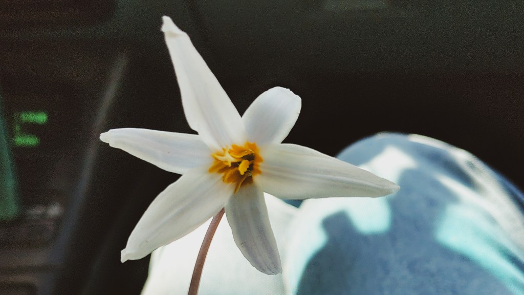 How Will Motherhood Change My&nbsp;Writing?