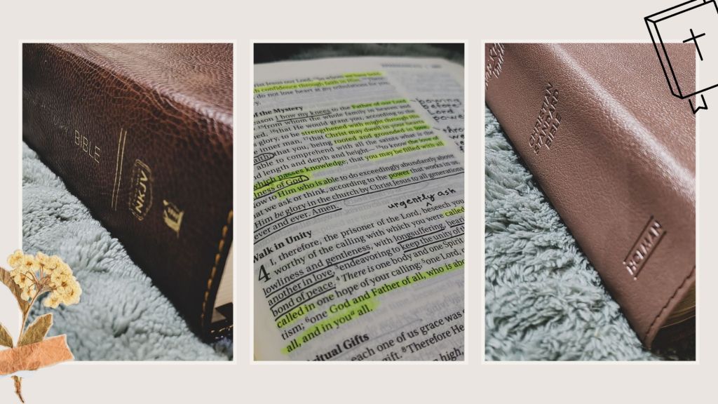 4 Bible Translations For Beginners (It’s Not KJV): Start Understanding&nbsp;Scripture